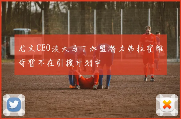 尤文CEO谈大马丁加盟潜力弗拉霍维奇暂不在引援计划中