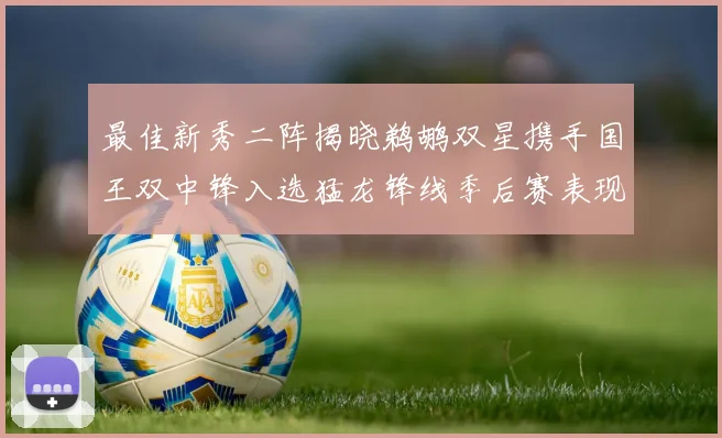 最佳新秀二阵揭晓鹈鹕双星携手国王双中锋入选猛龙锋线季后赛表现抢眼